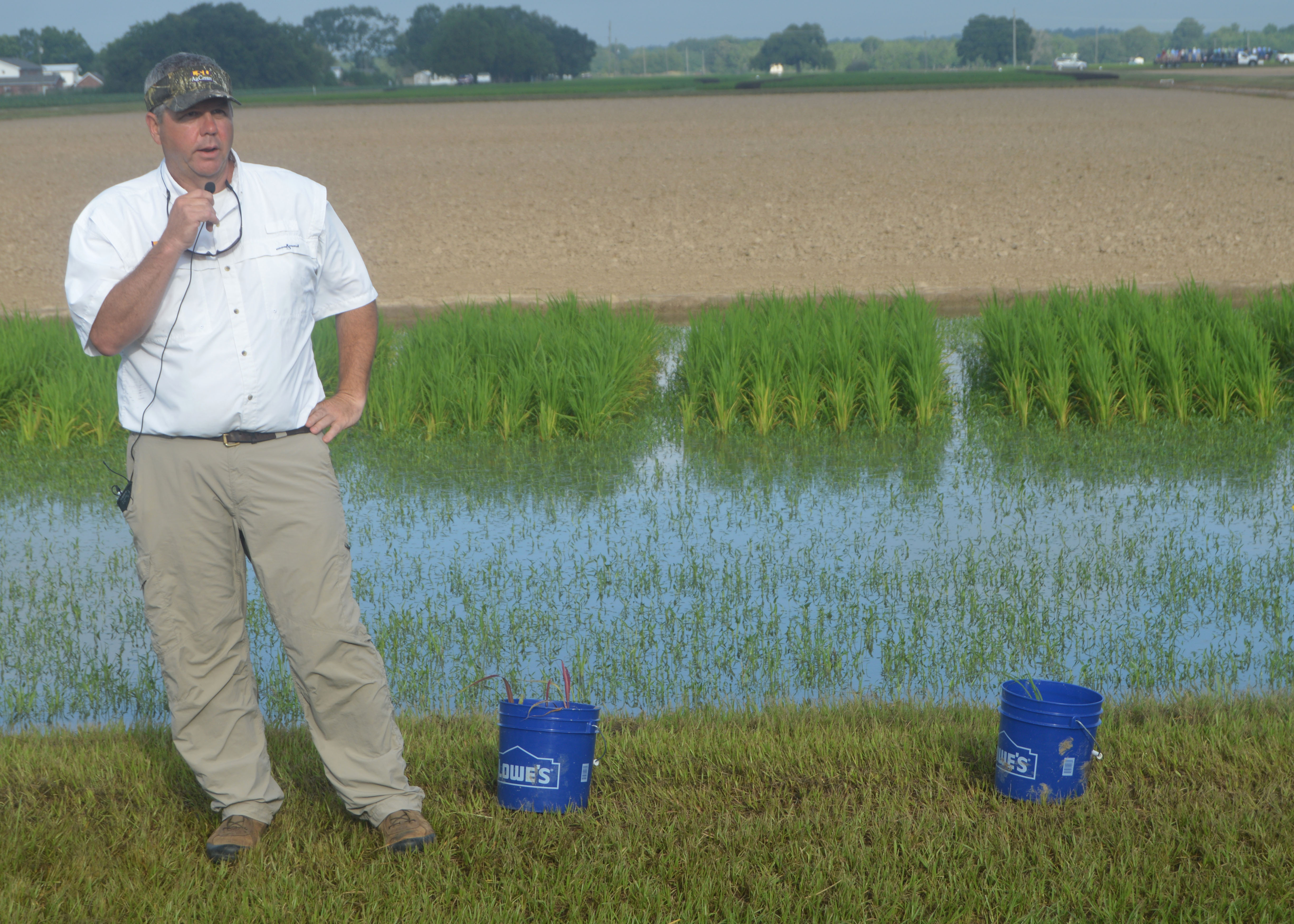 AgCenter News